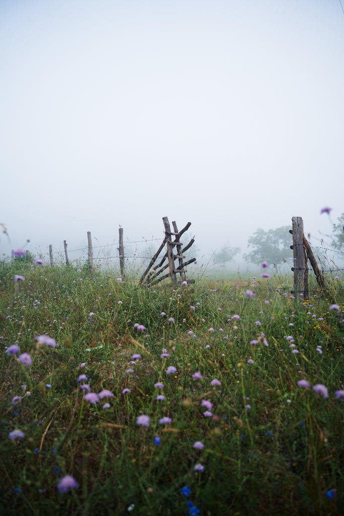 Quiet misty meadow featuring a rustic barbed-wire fence and wildflowers under an overcast sky.